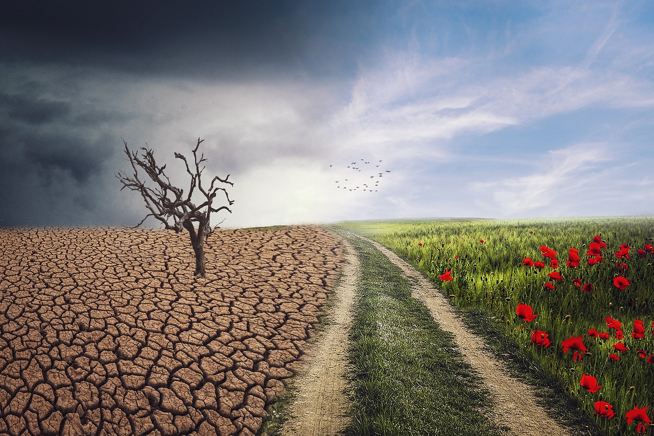 What is the Impact of Climate Change on Our Future?
